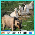 équipement d&#39;élevage de chèvres à haute résistance commun